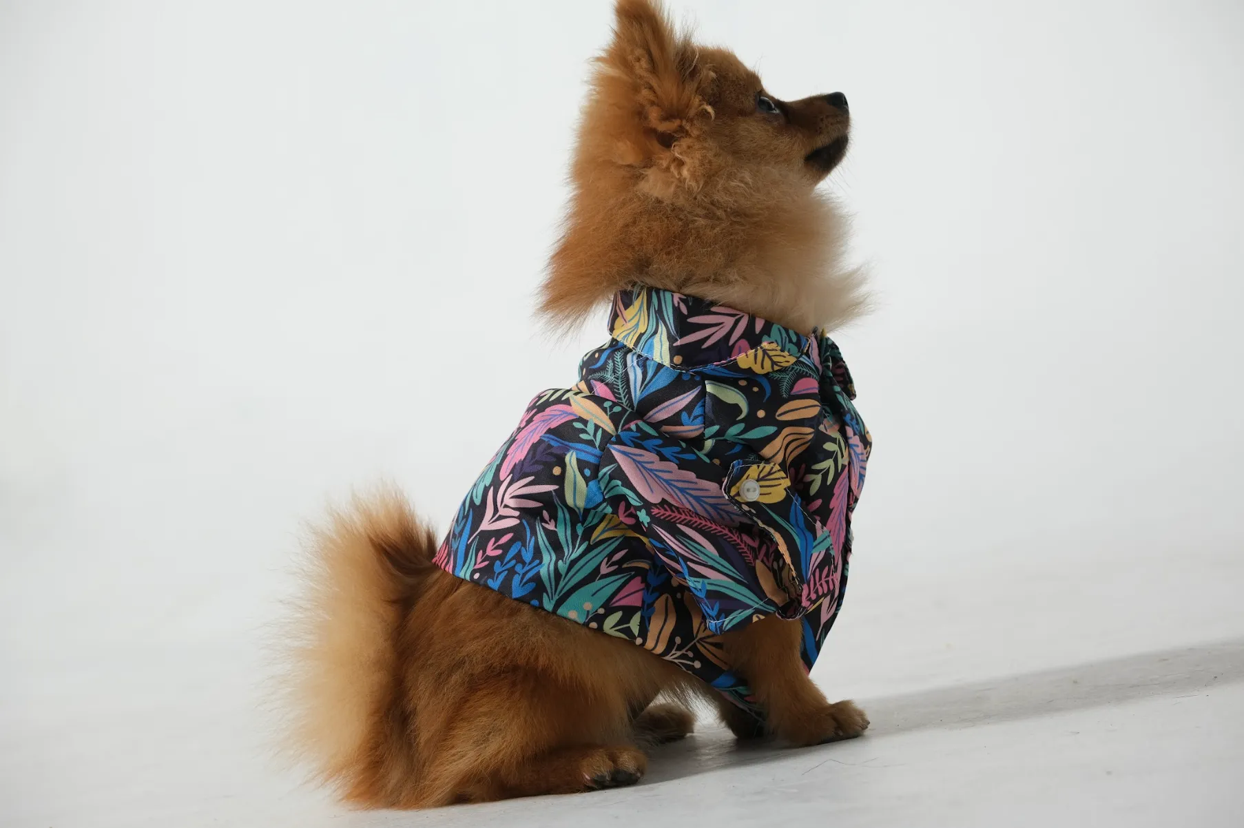 Dog Shirt Tropical Black