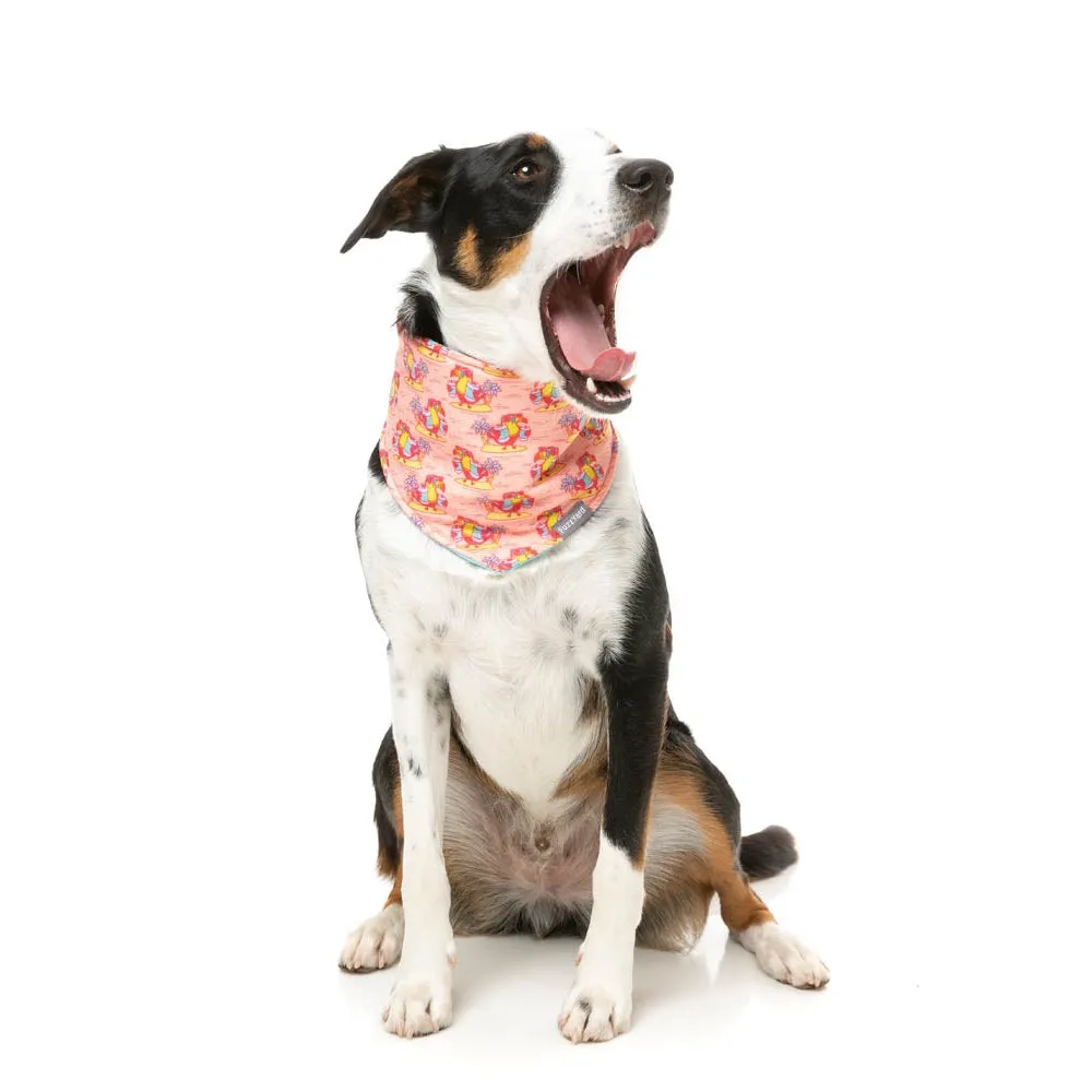 FuzzYard Cooling Bandana Two Cans Small Medium***