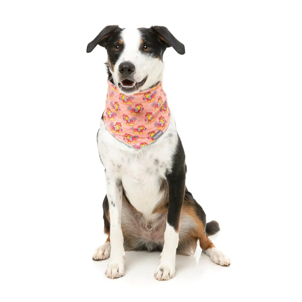 FuzzYard Cooling Bandana Two Cans Small Medium***